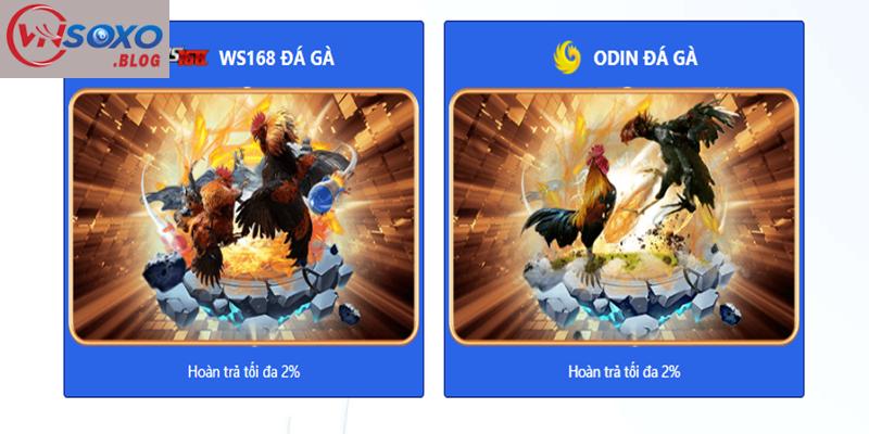 Hướng dẫn tham gia đặt cược đá gà tại VNSOXO cho tân thủ