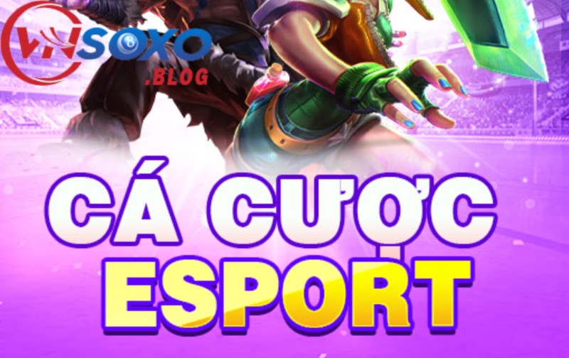 Cá cược Esports là gì? Mẹo hay khi chơi thể thao điện tử